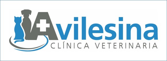 Clinica veterinaria avilesina